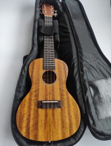 Kai KCI-30M z pokrowcem (ukulele koncertowe)