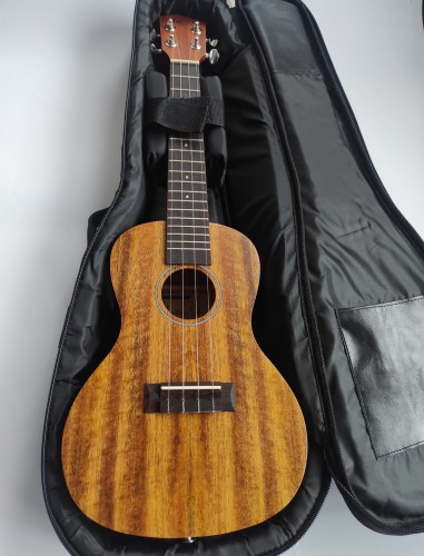 Kai KCI-30M z pokrowcem (ukulele koncertowe)