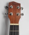 Kai KCI-30M z pokrowcem (ukulele koncertowe)