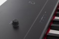 GEWA Portable Piano PP-2 - Pianino cyfrowe
