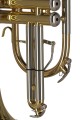GEWA Germany CR651 Ambition – Kornet w stroju Bb