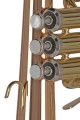 GEWA Germany FH501 Ambition -  Flugelhorn Bb