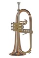 GEWA Germany FH501 Ambition -  Flugelhorn Bb