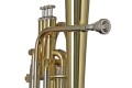 GEWA Germany AH650 Ambition -  Alt Eb