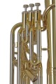 GEWA Germany BH651 Ambition - Baryton Bb