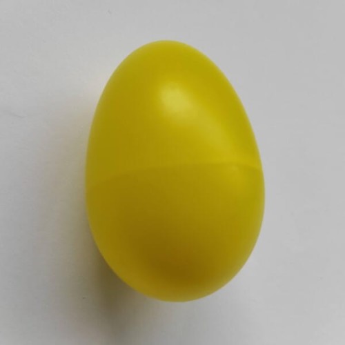 Egg Shaker (2).jpg