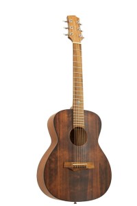 Randon RGI-14 Mini-VT (gitara akustyczna dla dzieci 3/4)