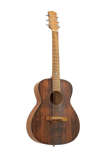 Randon RGI-14 Mini-VT (gitara akustyczna dla dzieci 3/4)